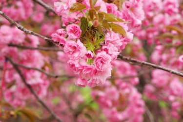宁波海曙区1线下个人借款平台一站式服务，轻松解决资金难题