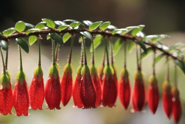 宁波海曙区1零用贷短借：轻松解决临时资金需求