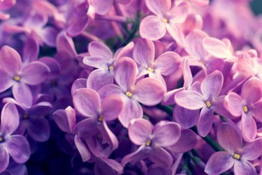 宁波海曙区1企业急用钱贷款攻略：快速融资解燃眉之急